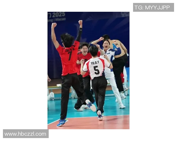 杭州排球队创历史新高排球速度排名再创新纪录